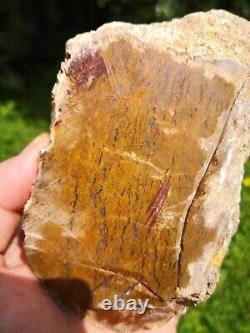 Storm agate New Zealand Mineral Lapidary cabbing carving Natural