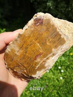 Storm agate New Zealand Mineral Lapidary cabbing carving Natural