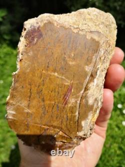 Storm agate New Zealand Mineral Lapidary cabbing carving Natural
