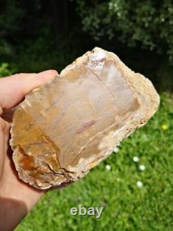 Storm agate New Zealand Mineral Lapidary cabbing carving Natural