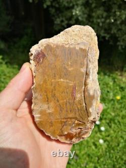 Storm agate New Zealand Mineral Lapidary cabbing carving Natural