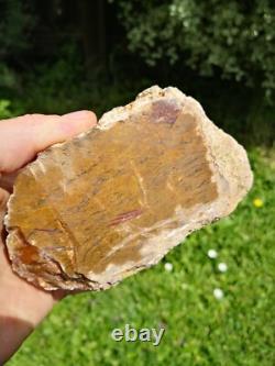 Storm agate New Zealand Mineral Lapidary cabbing carving Natural