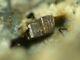 TUHUALITE from New Zealand TYPE LOCALITY MINERAL 1,2 cm