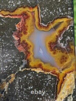 Thunder Egg New Zealand Very Rare Mineral Polished Lapidary Slab Agate