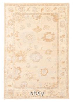 Traditional Hand-Knotted Bordered Area Rug 3'11 x 5'11 Wool Carpet