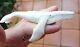 Unique Art Work Nz Netsuke Carver Fumio Noguchi Humpback Whale Sculpture/ring
