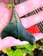 Unique Nz Pounamu Greenstone Nephrite Kawakawa Jade Maori Bound Whale Tail