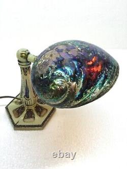 Unique Polished New Zealand Paua Shell Lamp Decorated Moe Bridges Base, Aquarius