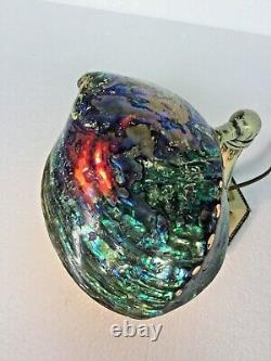 Unique Polished New Zealand Paua Shell Lamp Decorated Moe Bridges Base, Aquarius