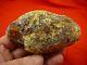 (k-2092) 150 g Rare Kauri tree Gum copal young Amber New Zealand Tane Mahuta