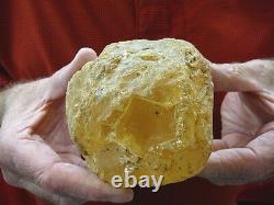 (k-260) 430 g Rare Kauri tree Gum copal young Amber New Zealand Tane Mahuta