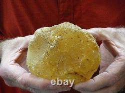 (k-260) 430 g Rare Kauri tree Gum copal young Amber New Zealand Tane Mahuta