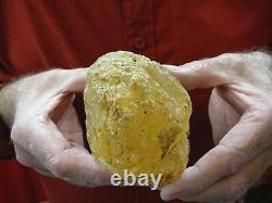 (k-260) 430 g Rare Kauri tree Gum copal young Amber New Zealand Tane Mahuta