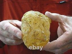 (k-260) 430 g Rare Kauri tree Gum copal young Amber New Zealand Tane Mahuta