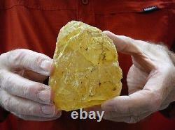 (k-260) 430 g Rare Kauri tree Gum copal young Amber New Zealand Tane Mahuta